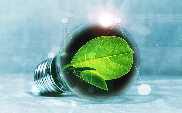 Von fossilen Brennstoffen zu grüner Energie: Ein Paradigmenwechsel