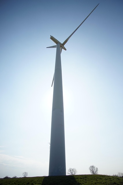 Wie grüne Energie unser tägliches Leben verändert