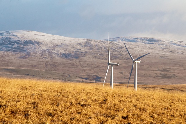 Grüne Energie: Wirtschaftliche Vorteile und Herausforderungen